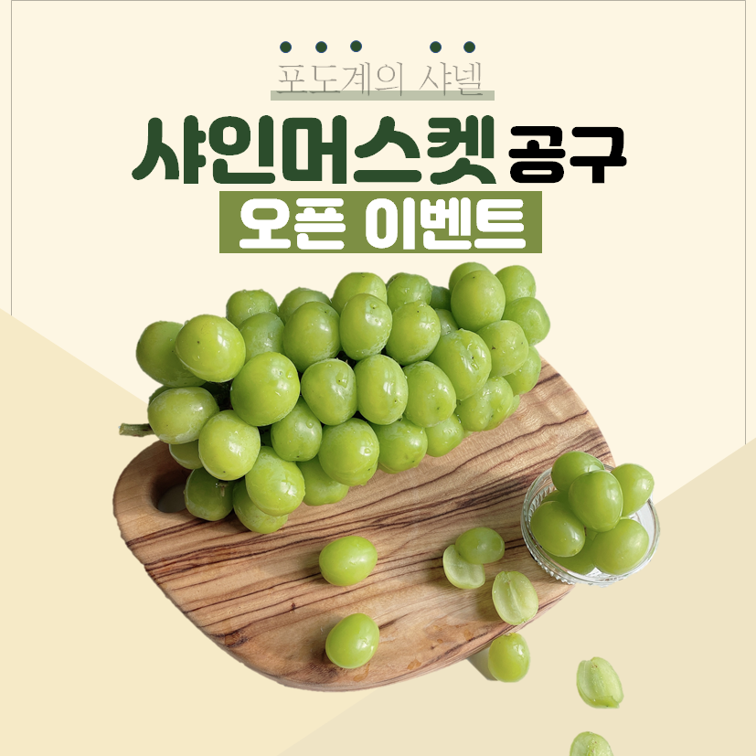 에스코어주 이미지