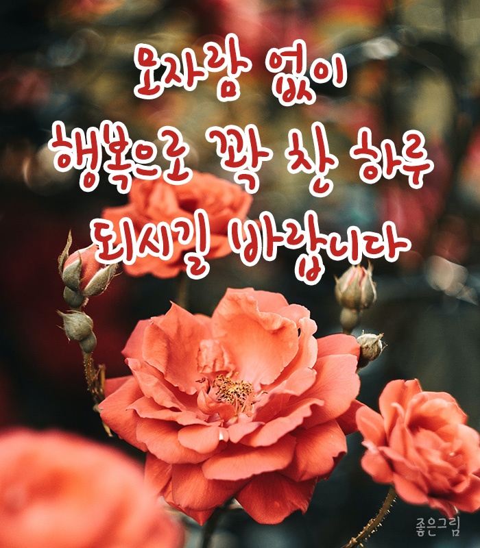 블링하루 이미지