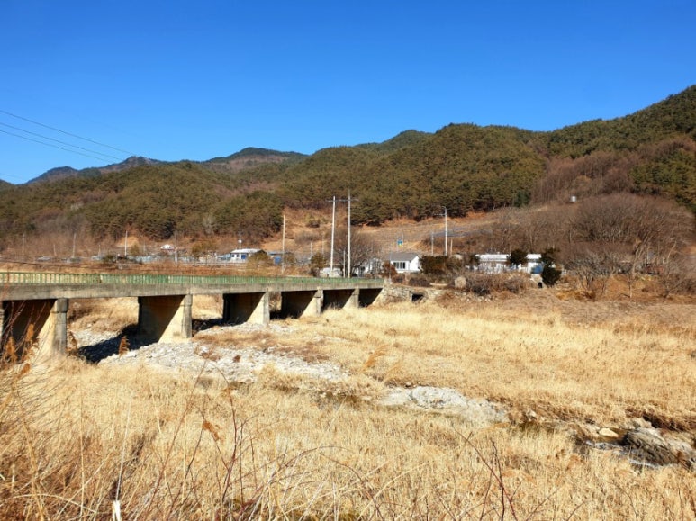 수진농원 이미지