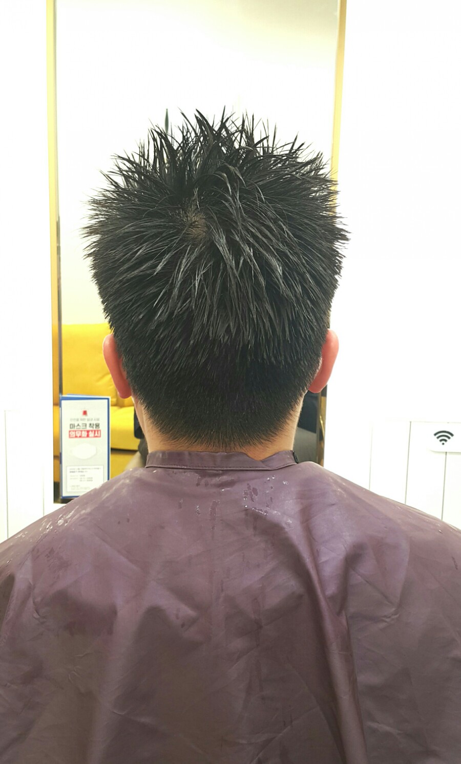 도유보네르 이미지