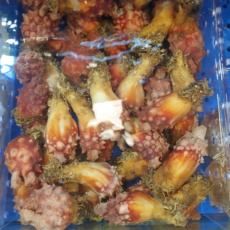 군산상회 이미지