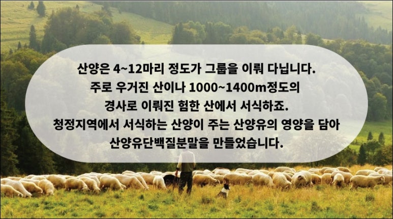 엠퍼씨 이미지