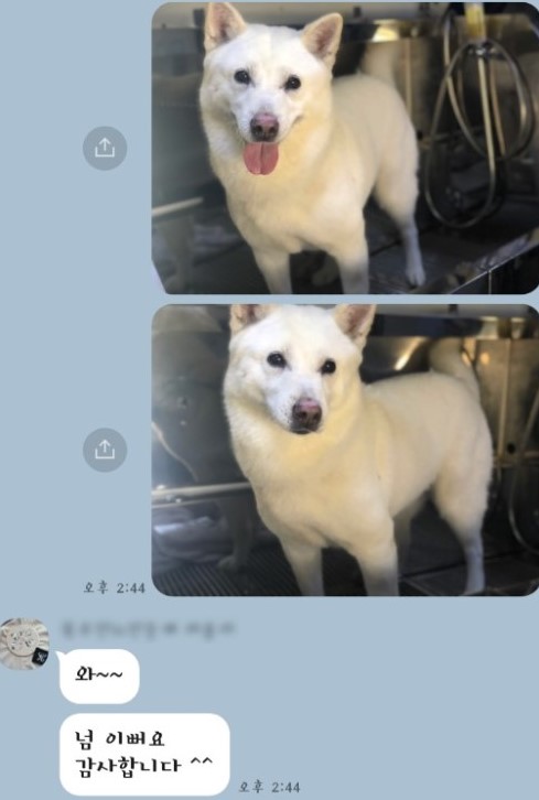 신남케어 이미지