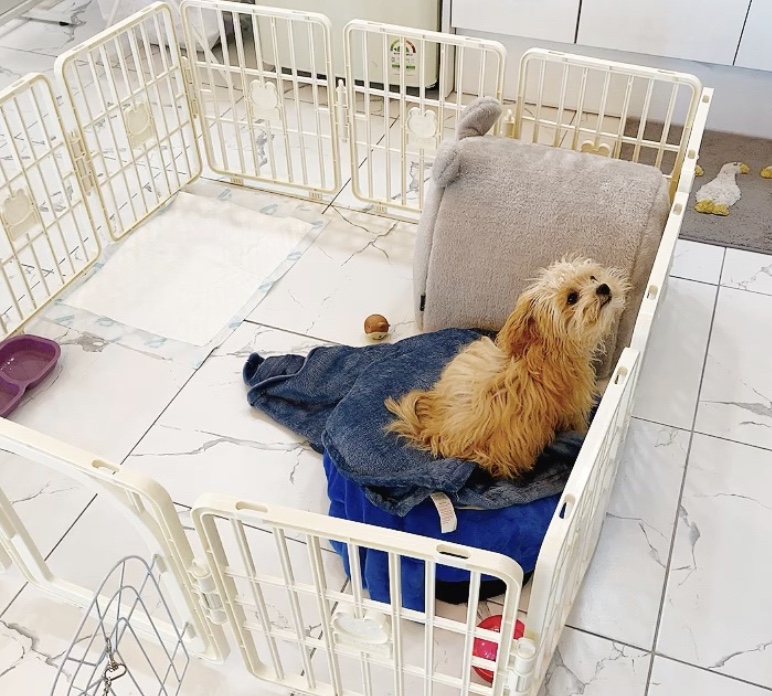 와이네일링 이미지