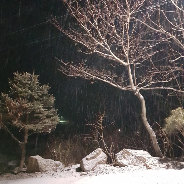 꿈에본펜션 이미지