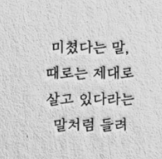 일진인터내셔날 이미지