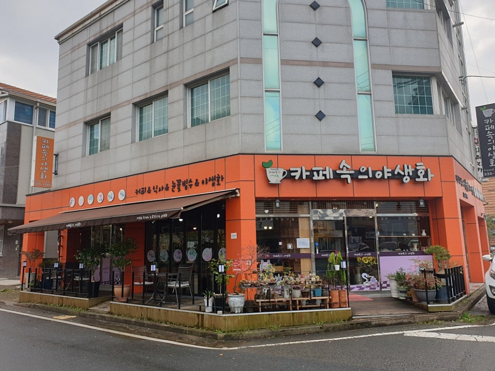 카페속의야생화 이미지