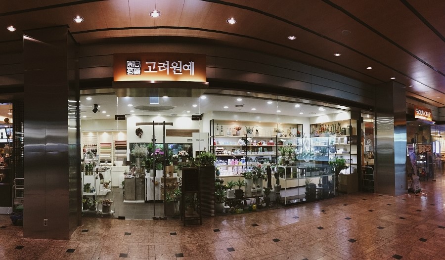 고려원예수련 이미지