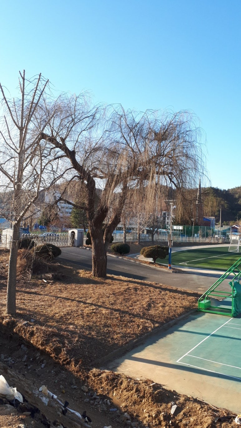 원덕중고등학교 이미지