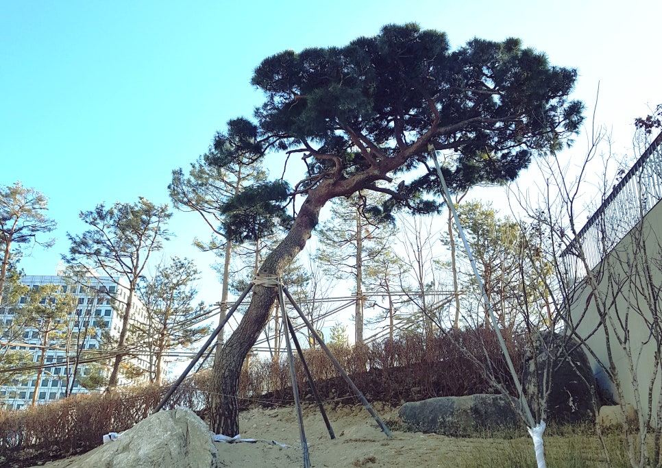 소나무기획 이미지
