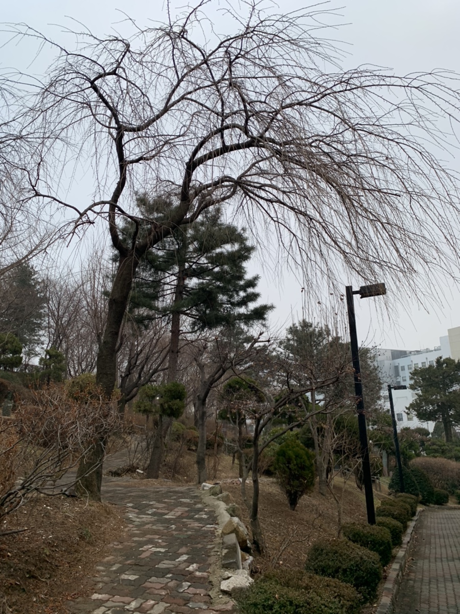 성가요양원 이미지