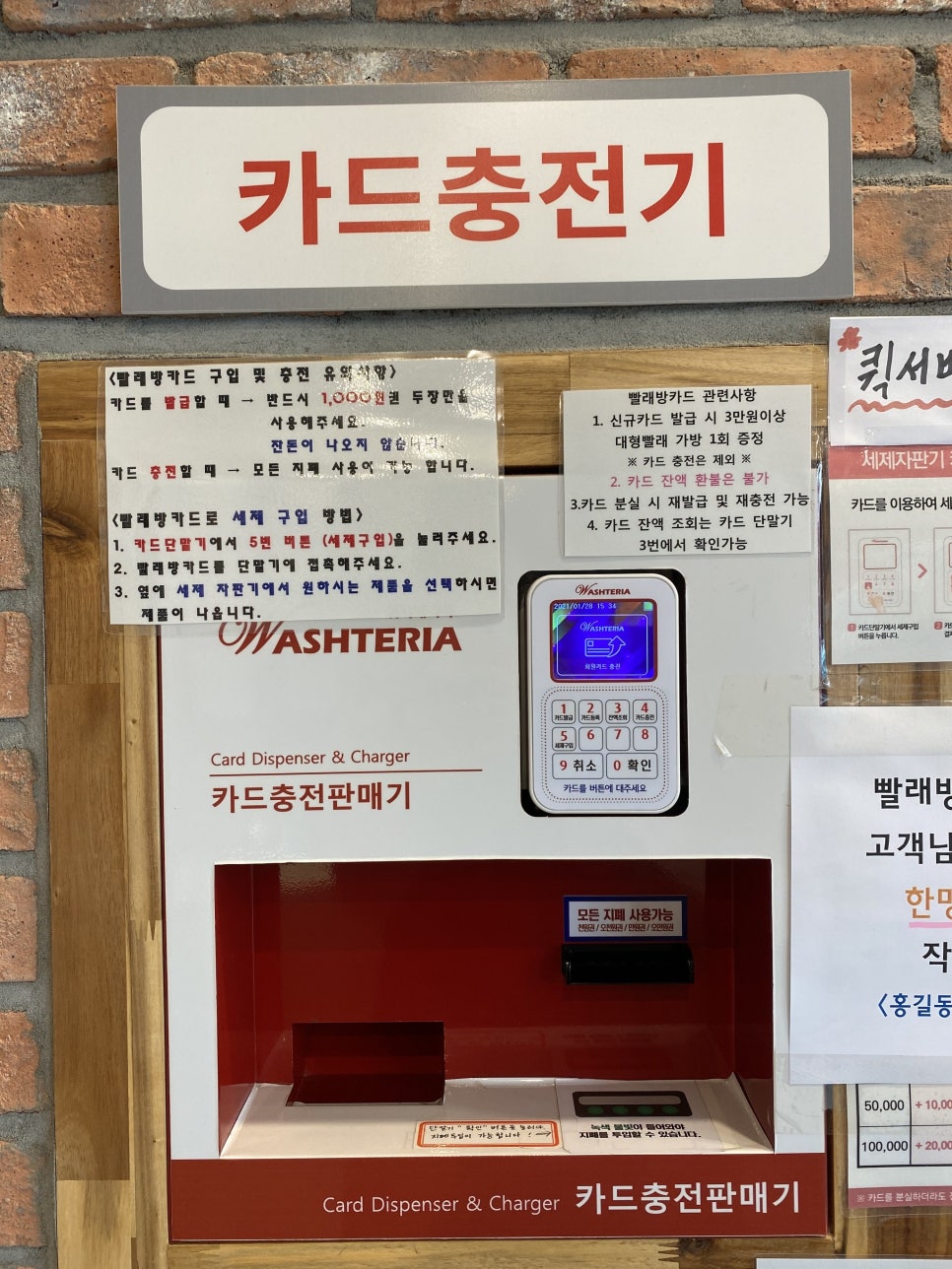 워시테리아올레 이미지