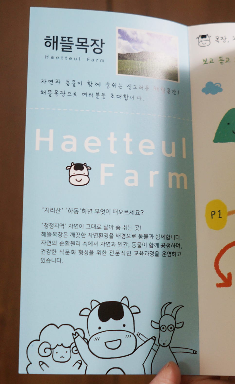 해뜰목장 꿈앤들 이미지