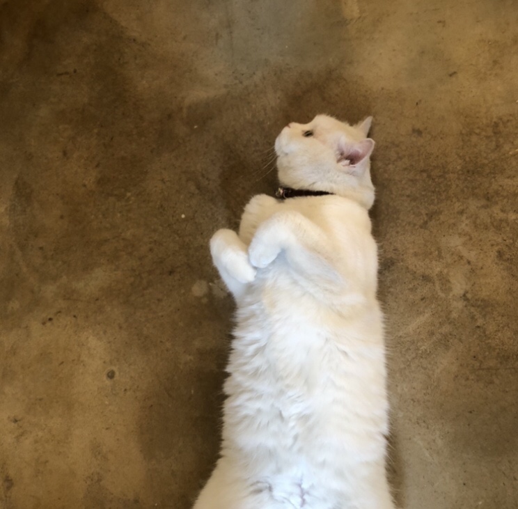 휴앤샵 이미지