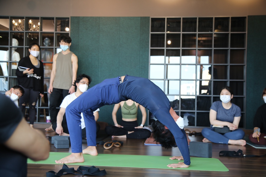 바비닌 이미지