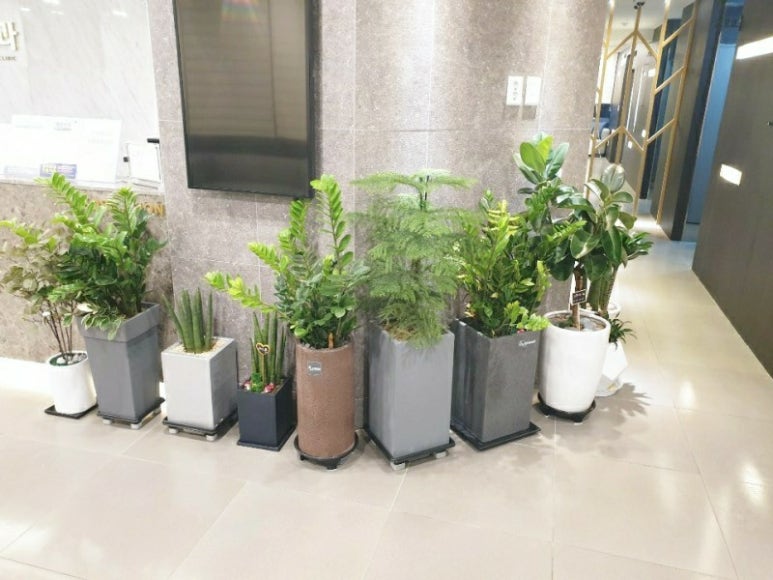크린스페이스 이미지