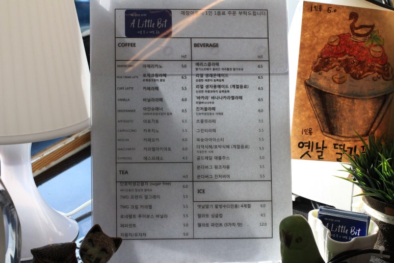 어리틀빈 이미지