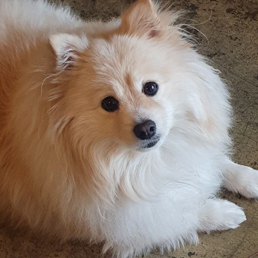 삼각카페 이미지