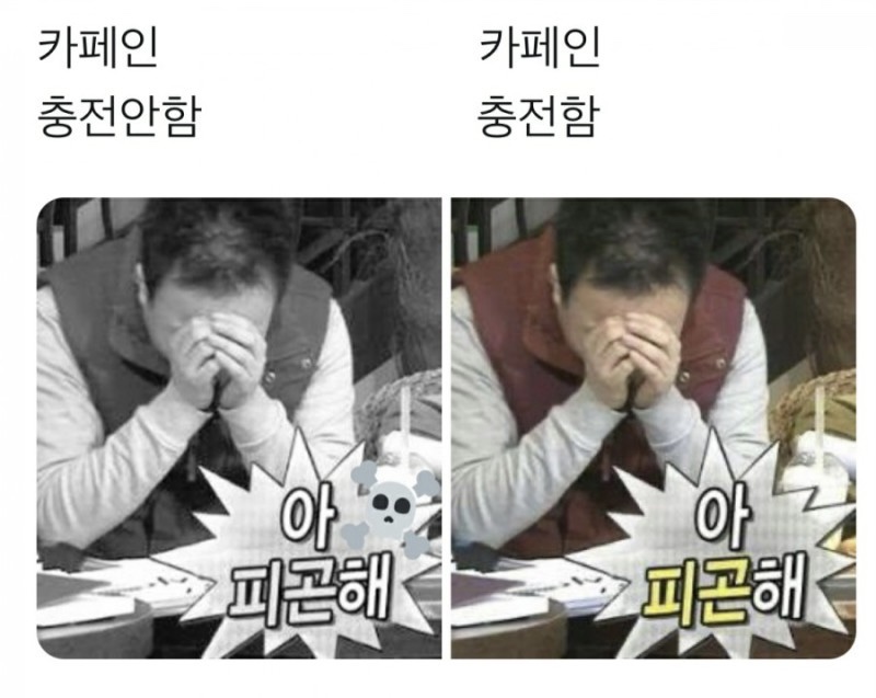 초록마켓 이미지