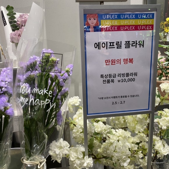 에이프릴리빙 이미지