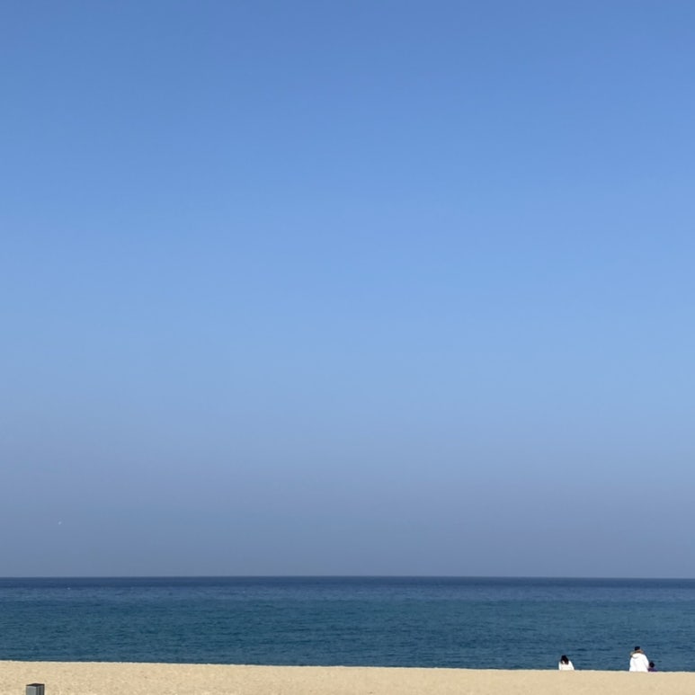 하루카페 이미지