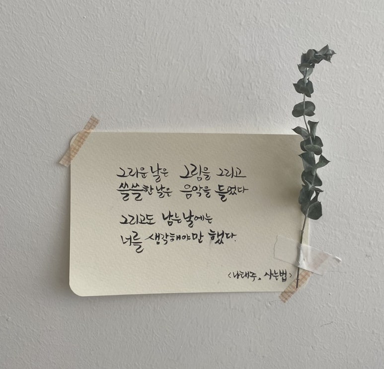 카페마주 이미지