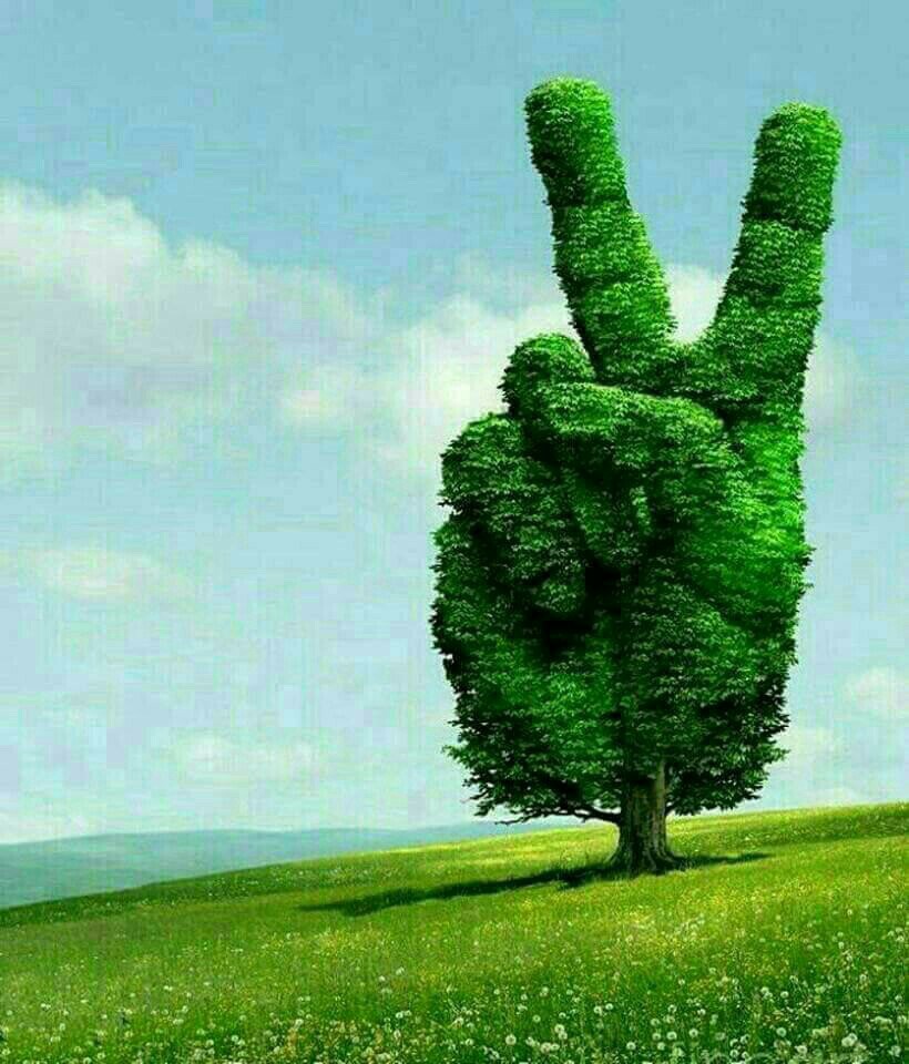 인셀덤서인 이미지
