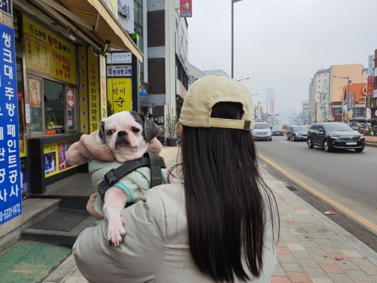 코코브레드 이미지