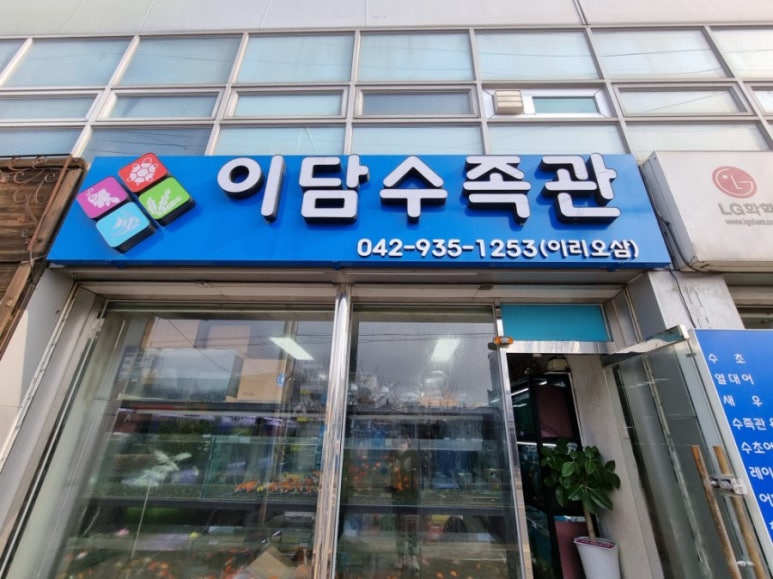 이담수족관 이미지