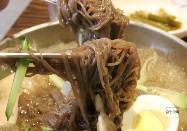 매일맛집 이미지