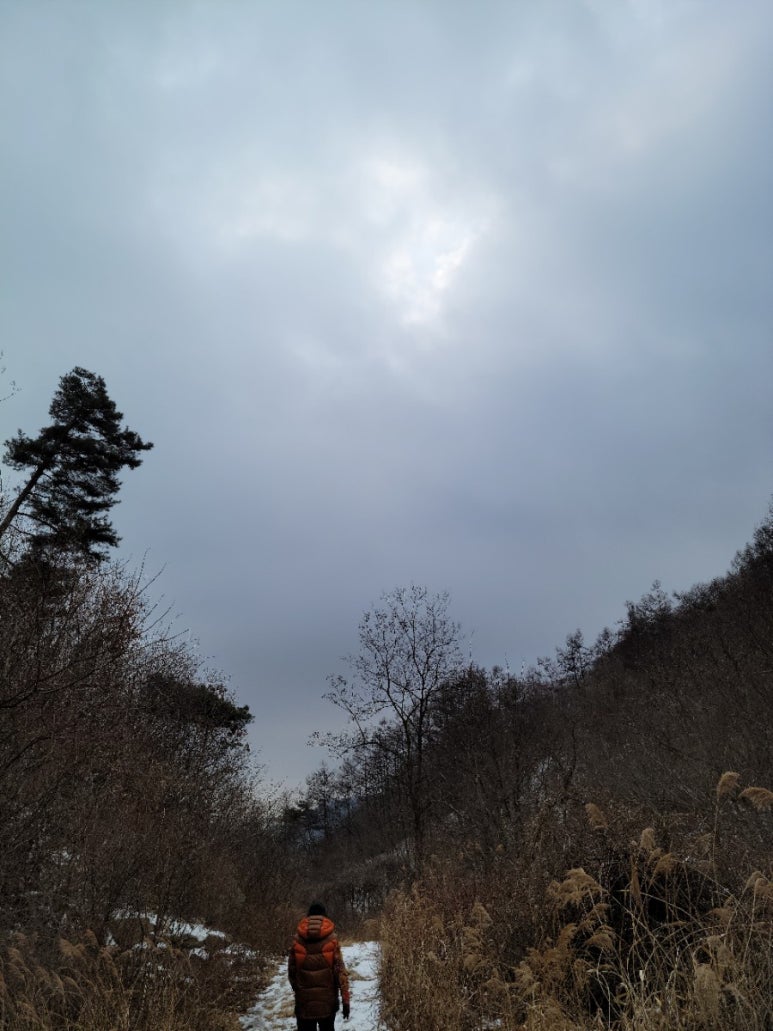 행운전기 이미지