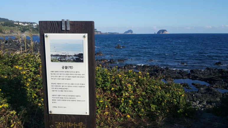 법환어촌계해녀식당 이미지