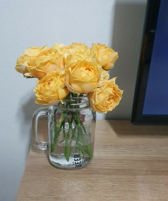 쁘렝땅플레르 이미지