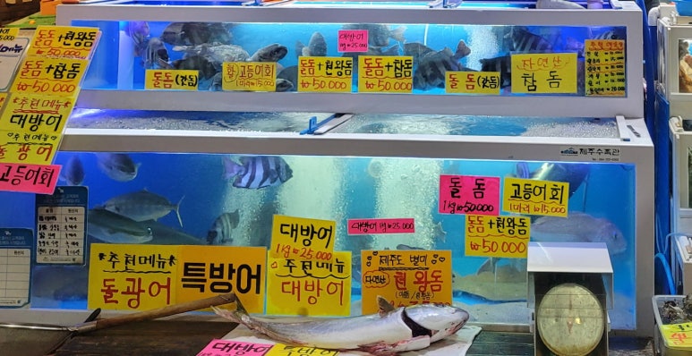 유신회수산 이미지