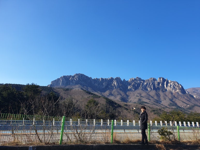 속초곰치국 이미지