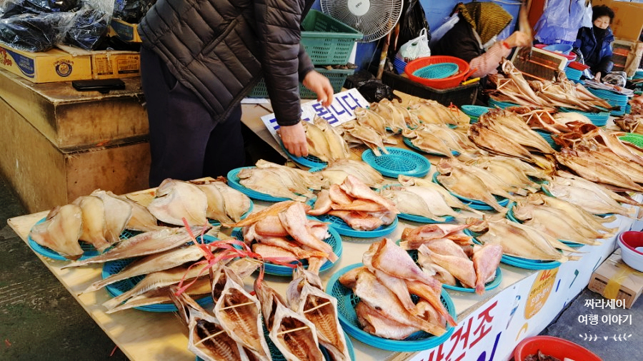 백씬투어 이미지