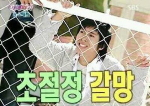 밤밤직구 이미지