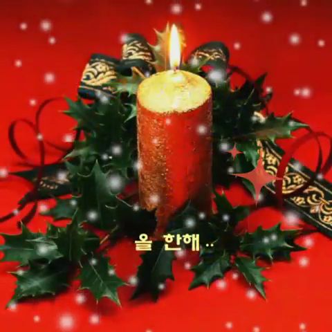 막걸리이야기 이미지