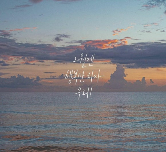 엠스타복싱클럽 이미지