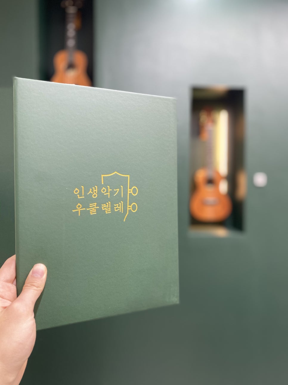 인생악기우쿨렐레 이미지