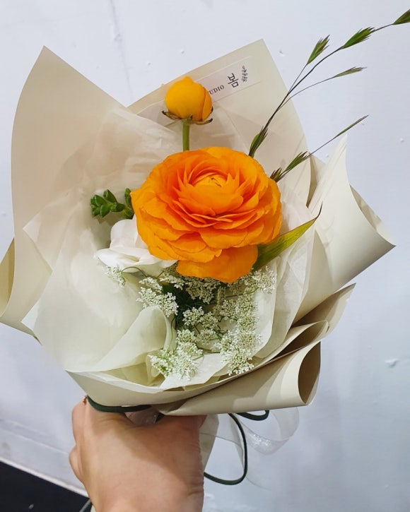 에코자인 이미지