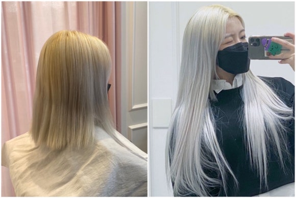 살롱 드 제이엔 이미지