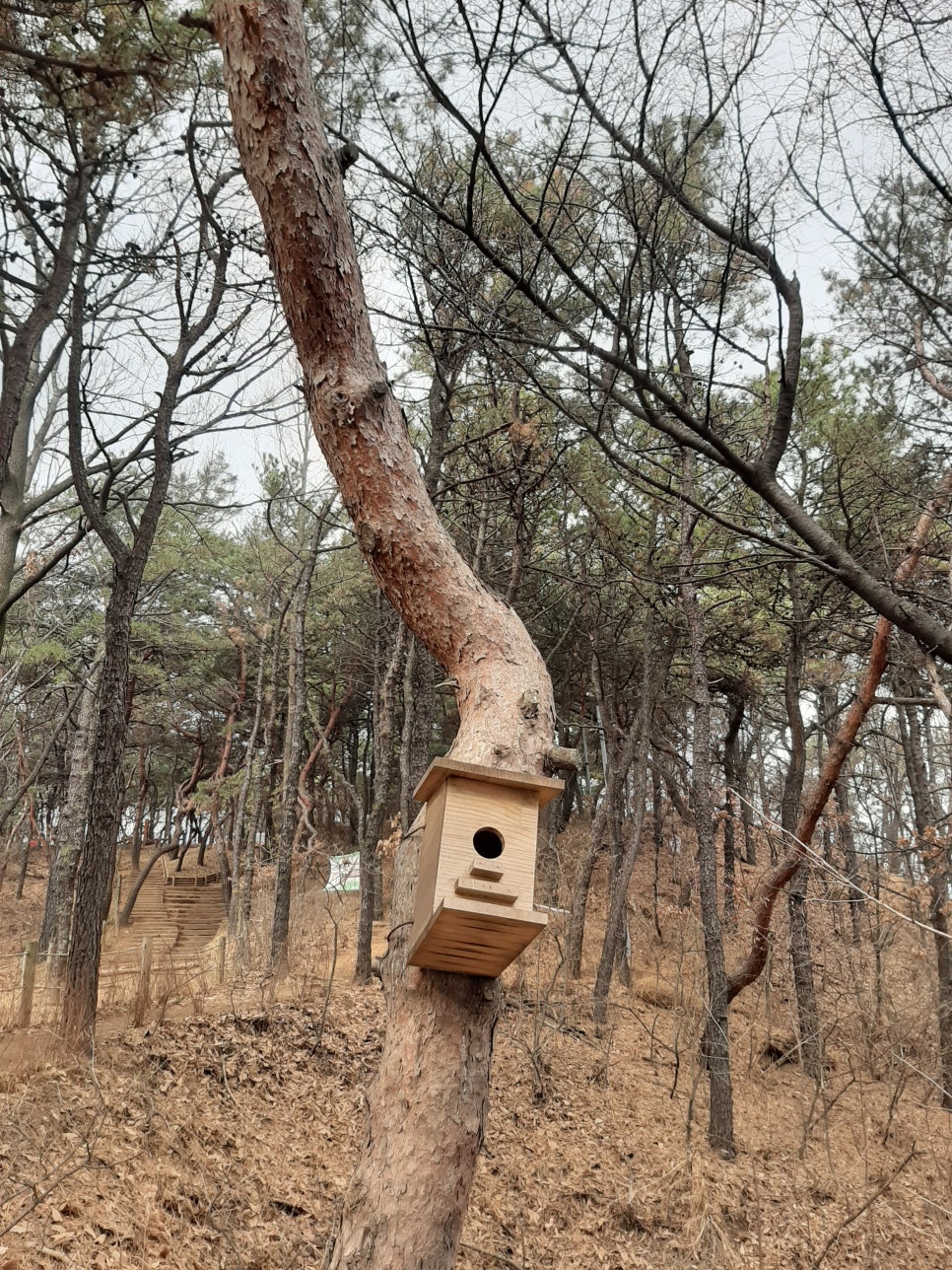 밥상차려놓았어요 이미지
