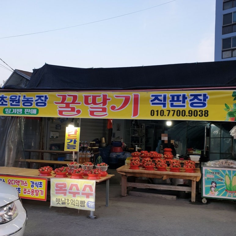 경아딸기 이미지