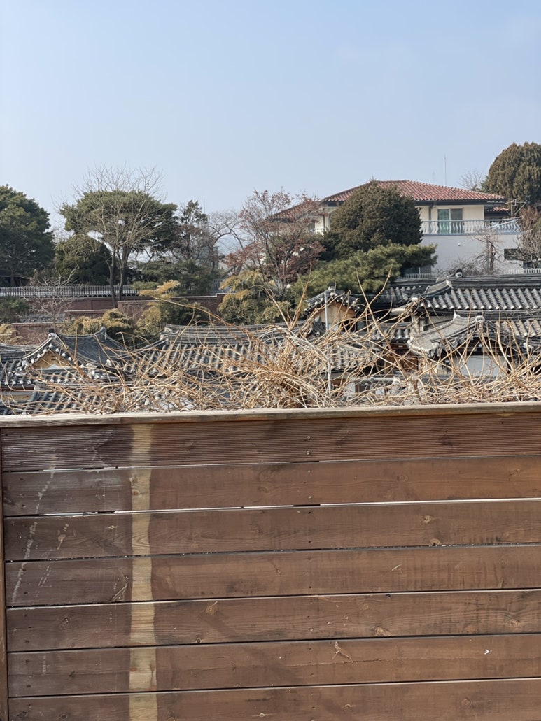 델픽주 이미지