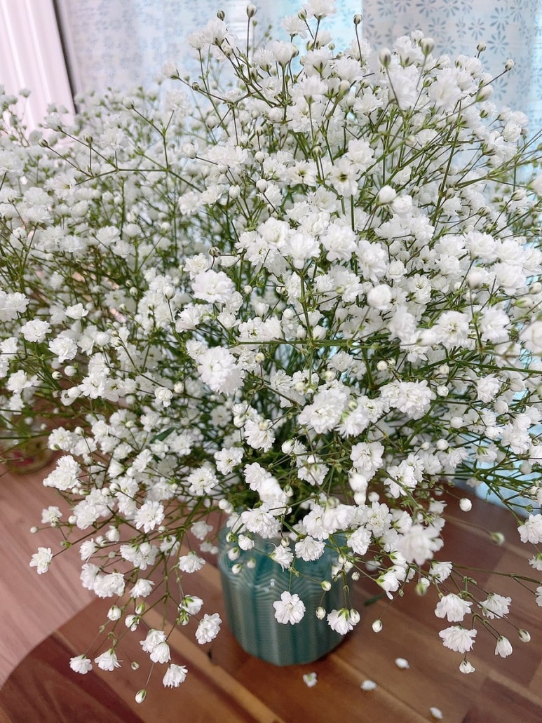 진영화원 이미지