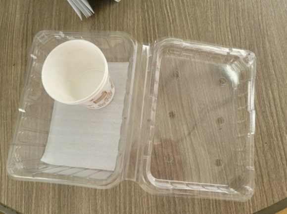 다산딸기수출 이미지