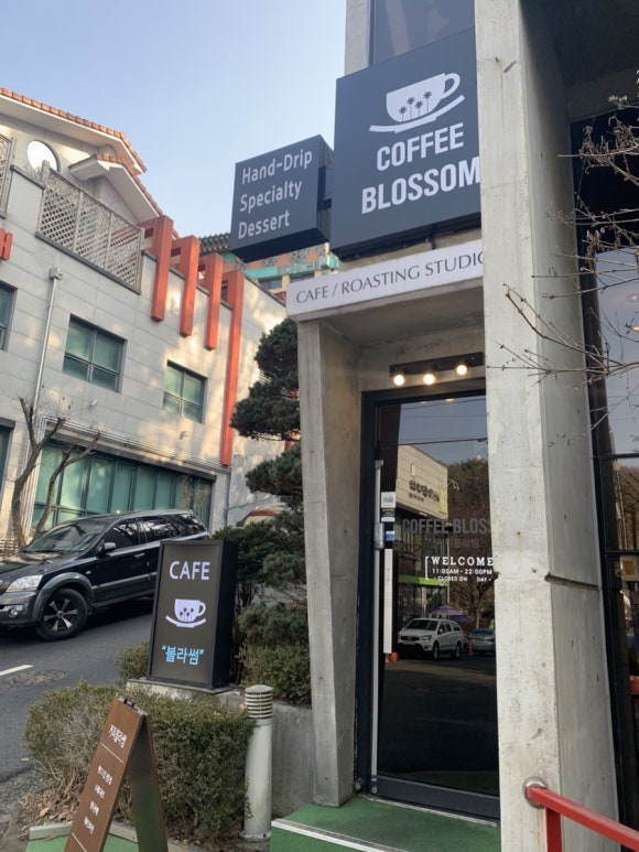 커피블러썸(coffee blossom) 이미지