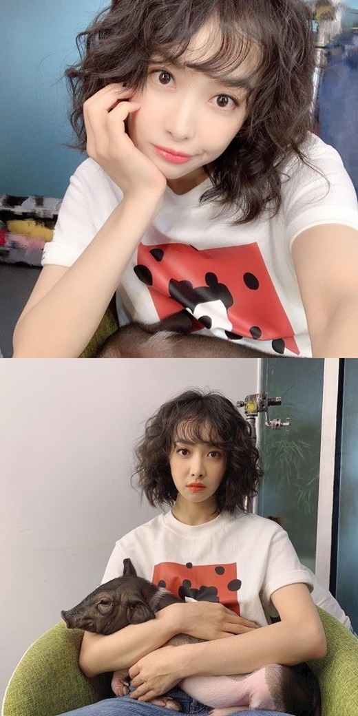 Soo Hair(수헤어) 이미지