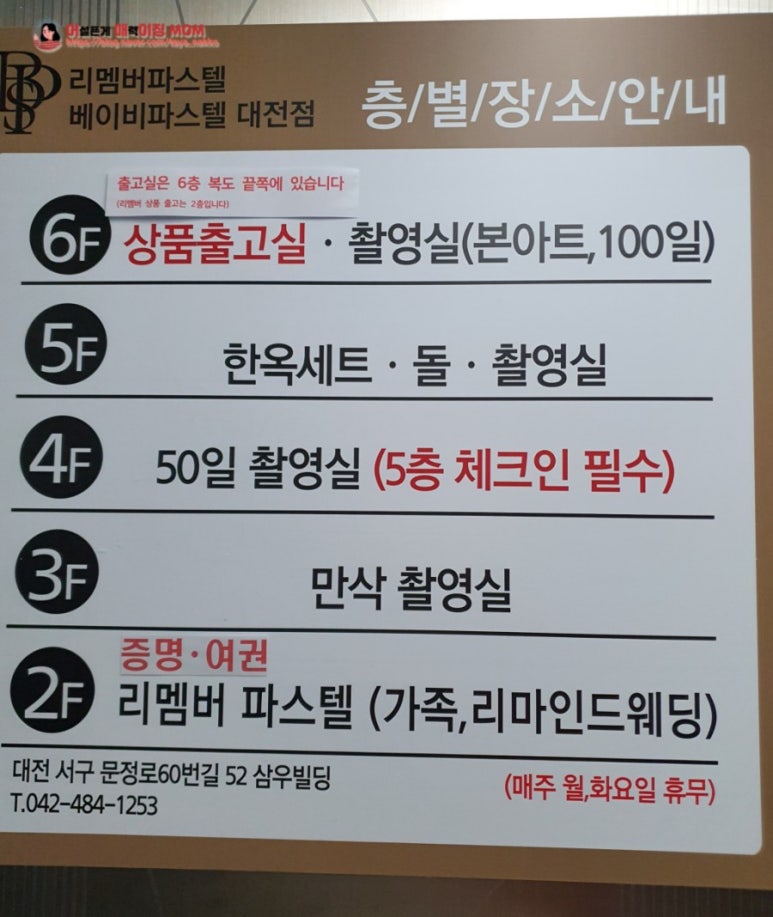 베이비파스텔 이미지